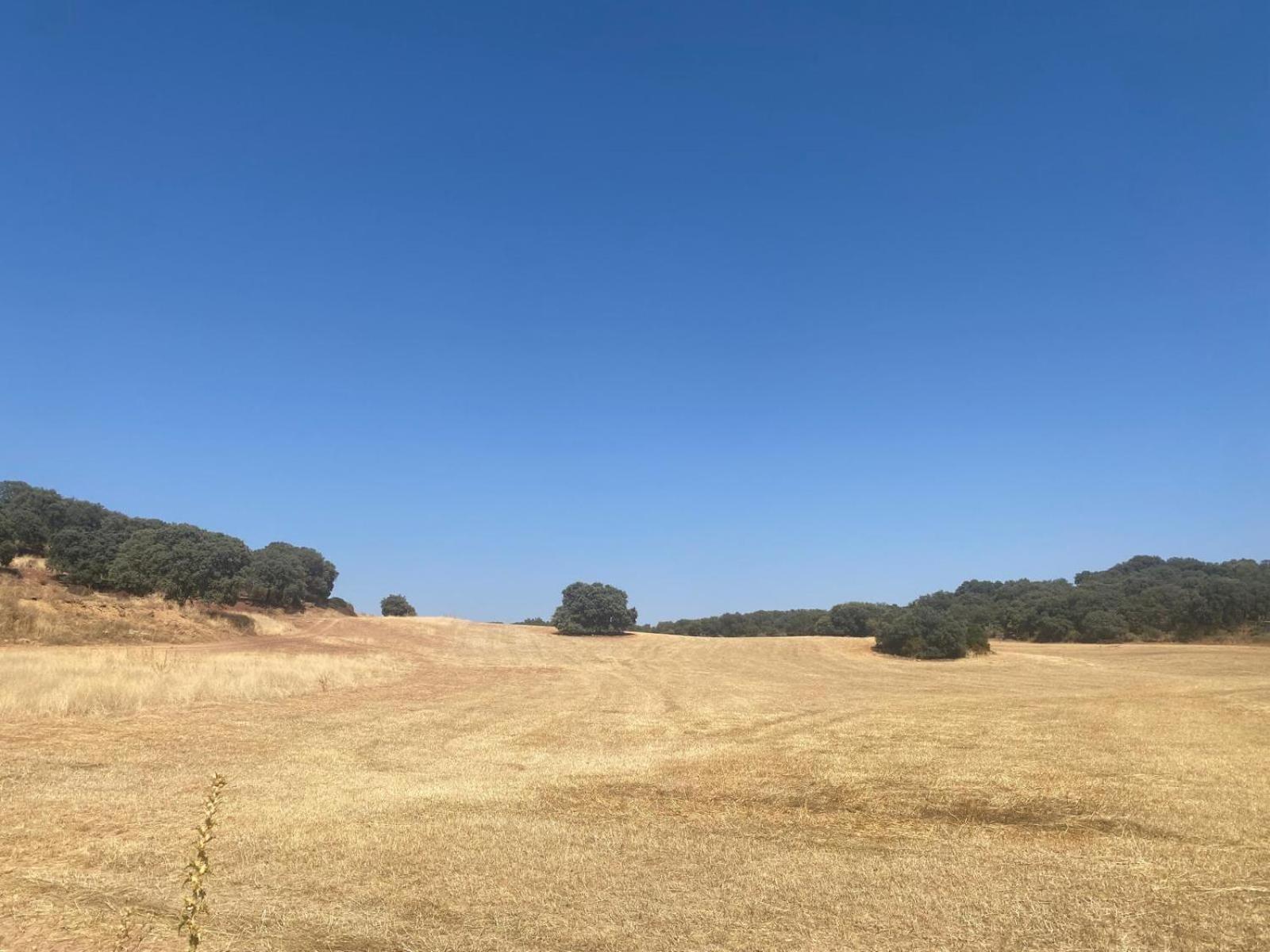 Casa Rural El Contarin - An Andalusian Escape, Archidona, Malaga Экстерьер фото